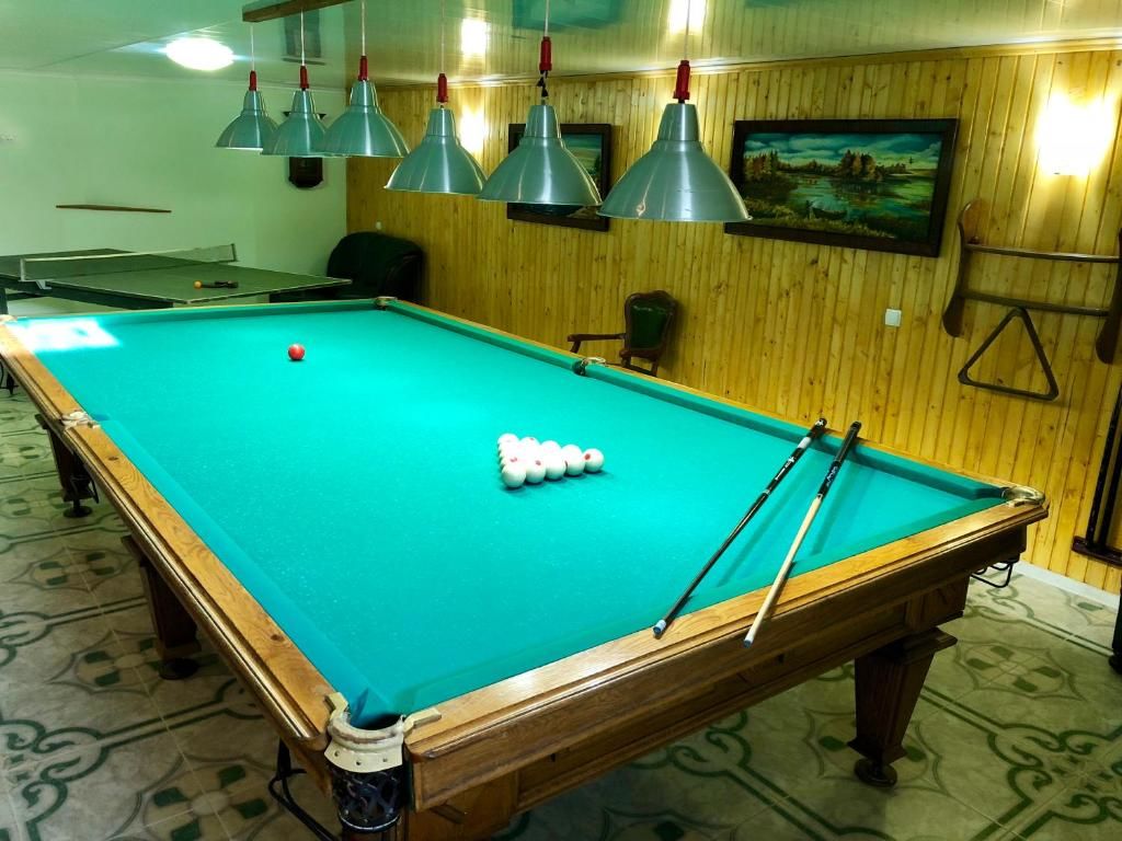 Гостевой дом Luxury house with own pool, tenis, billiards Каменец-Подольский