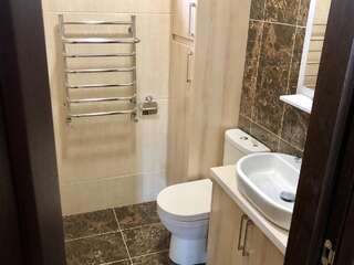 Гостевой дом Luxury house with own pool, tenis, billiards Каменец-Подольский Вилла с собственным бассейном-13