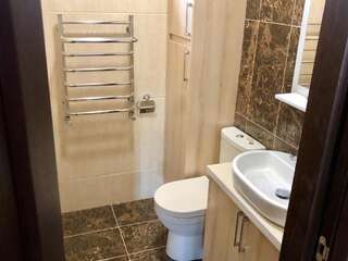 Гостевой дом Luxury house with own pool, tenis, billiards Каменец-Подольский Вилла с собственным бассейном-25